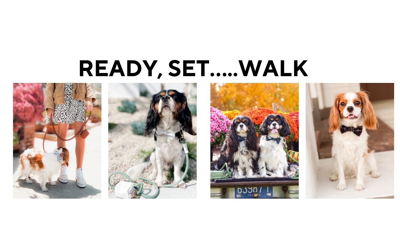 Walking Sets