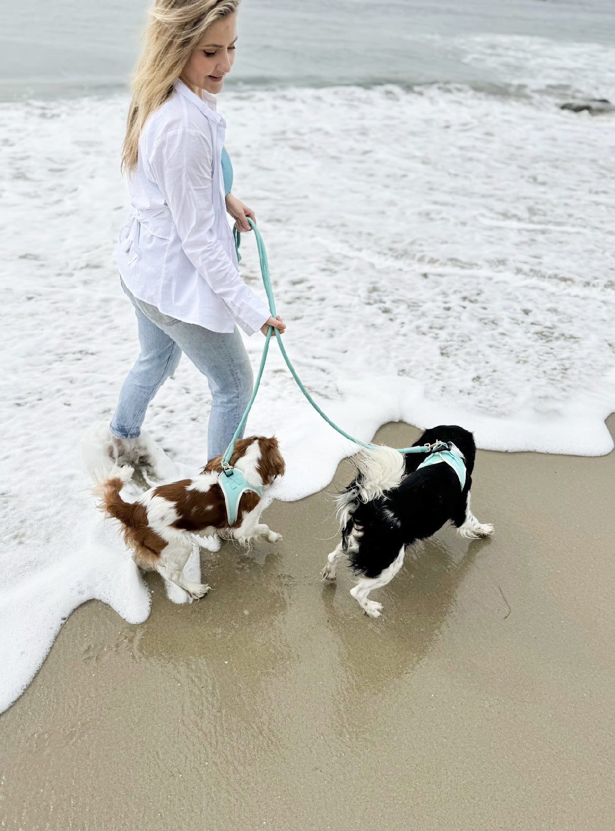 The Classic Leash - Capri
