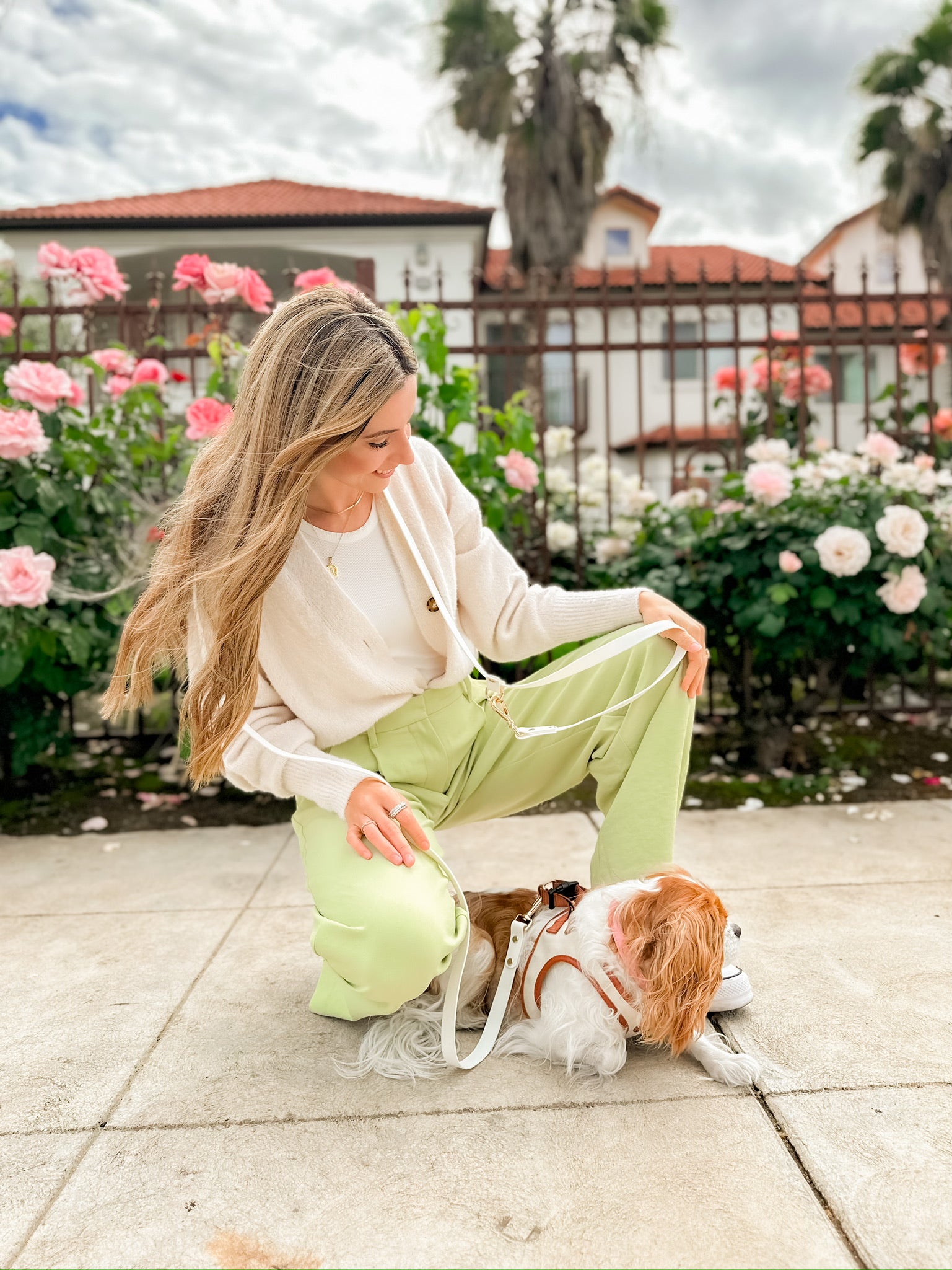 Hands-Free All-Weather Leash - Vanilla