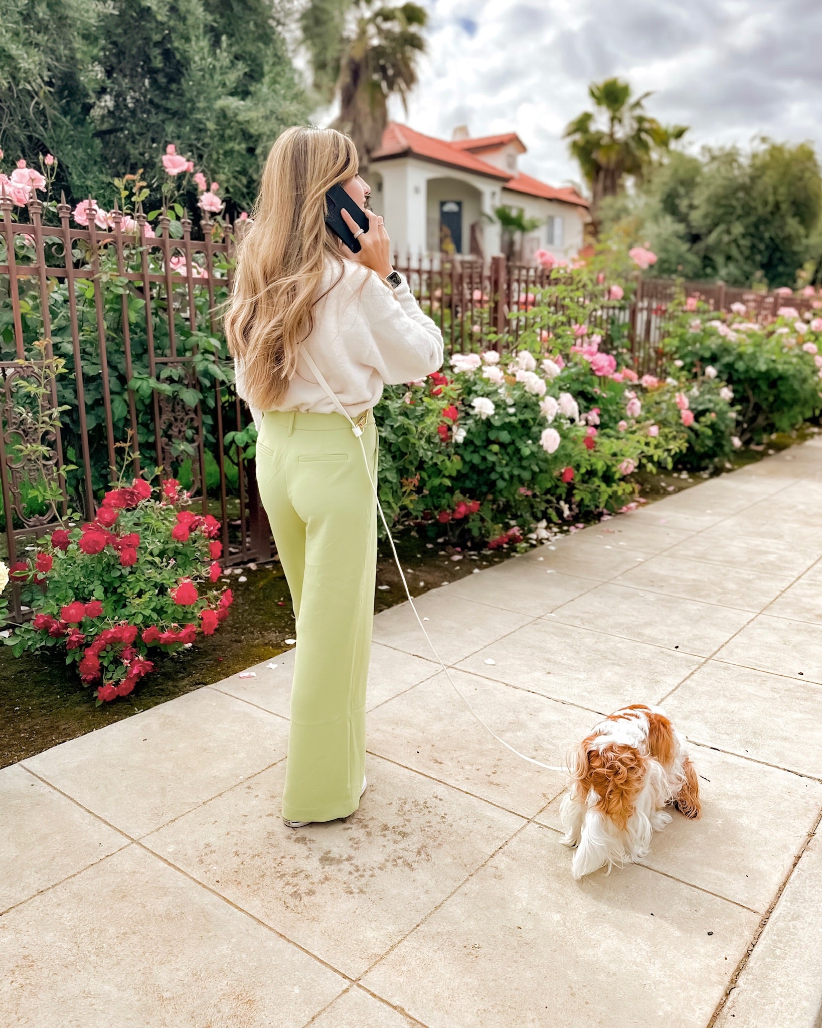 Hands-Free All-Weather Leash - Vanilla