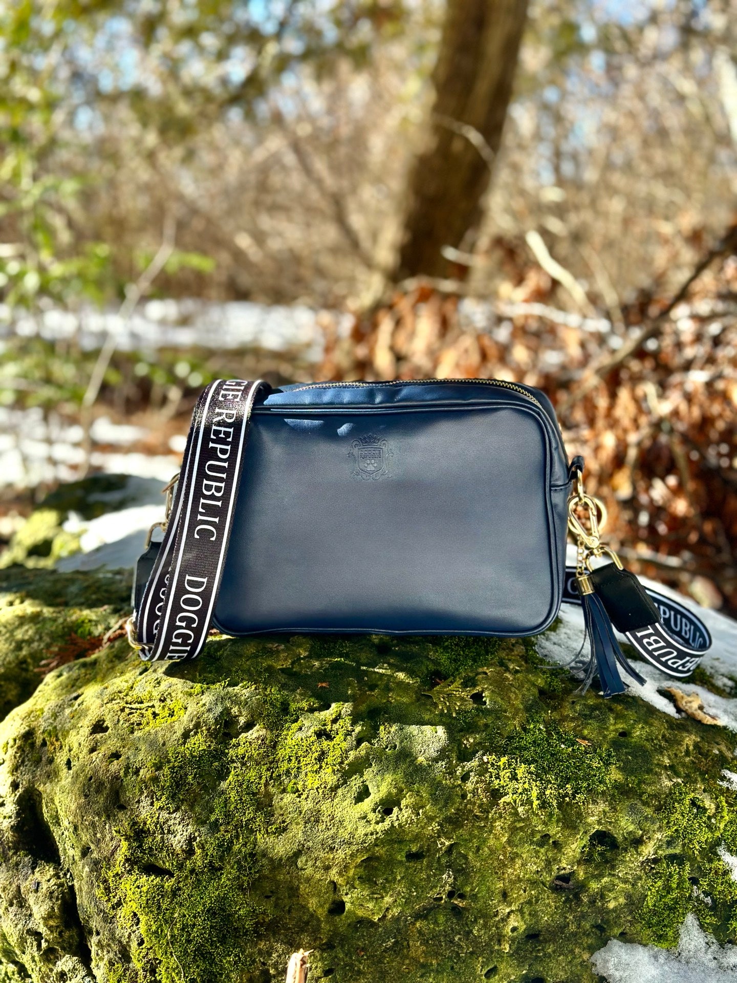 Day Bag