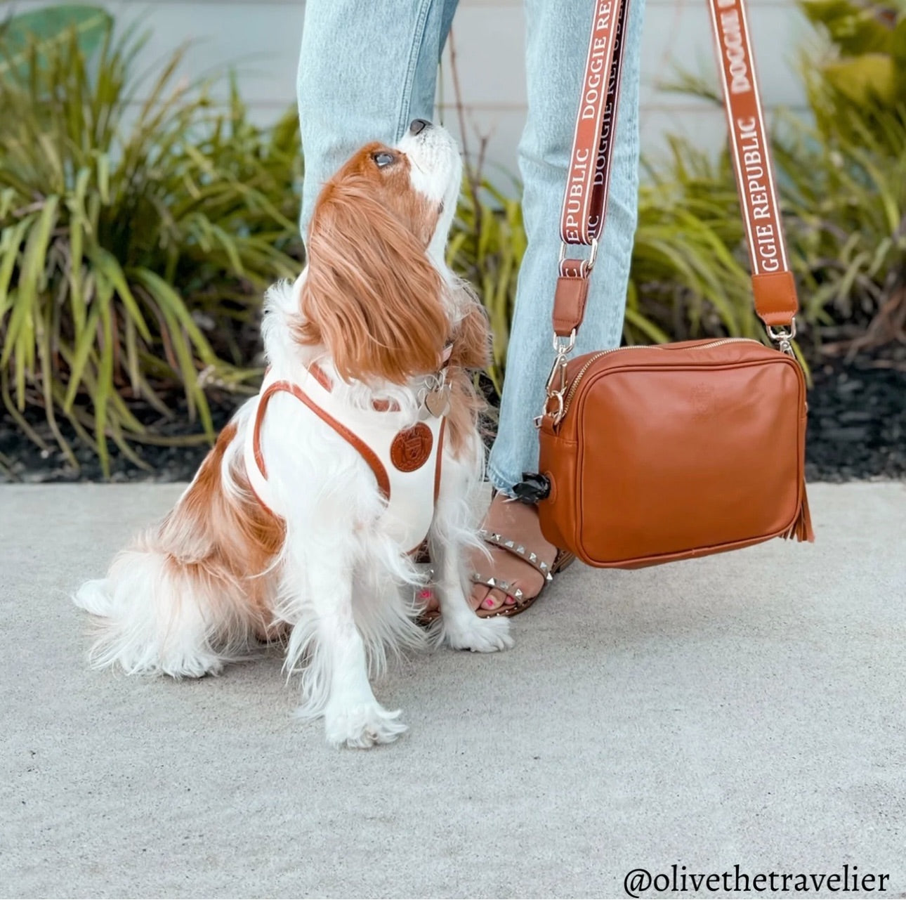 Day Bag